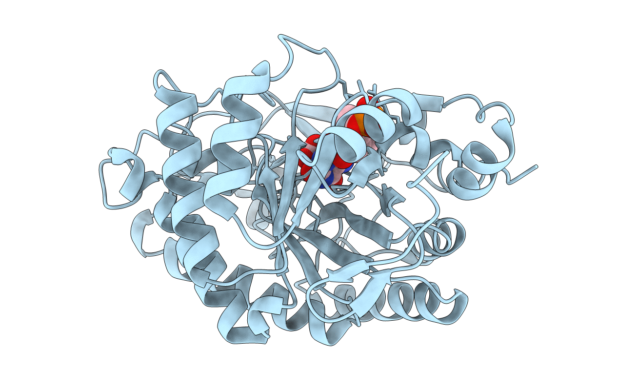 3P8J image