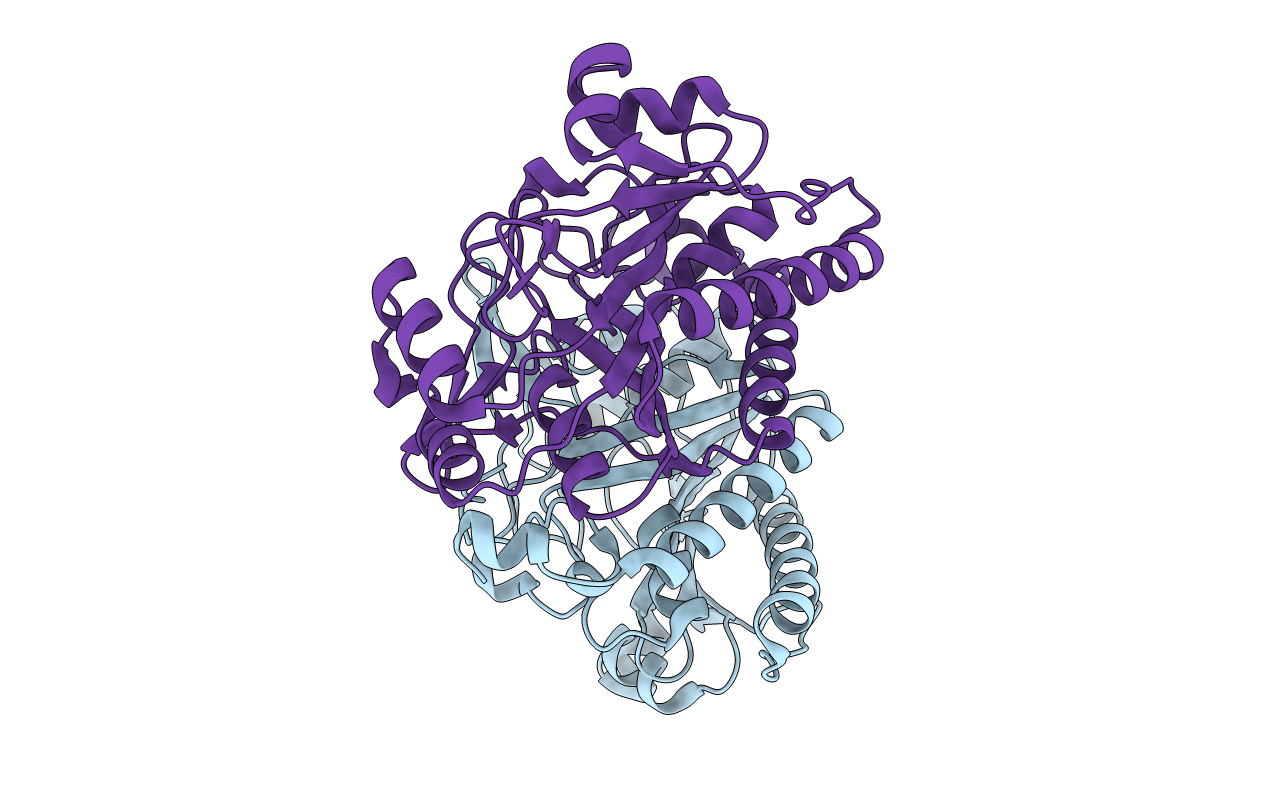 3P8T image