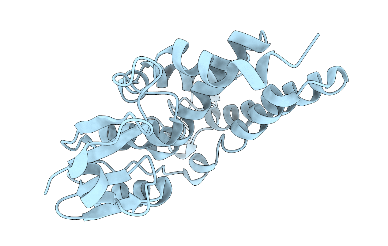 3P8W image