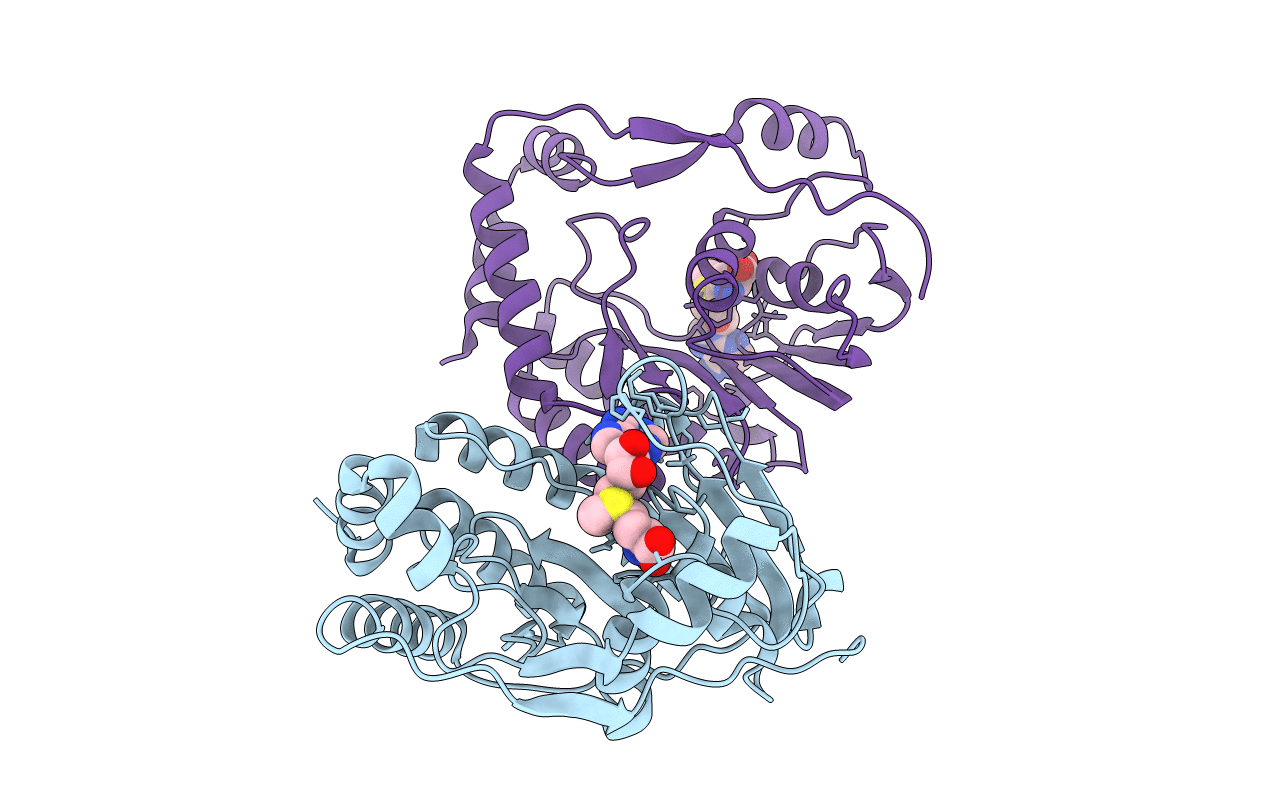 3P97 image