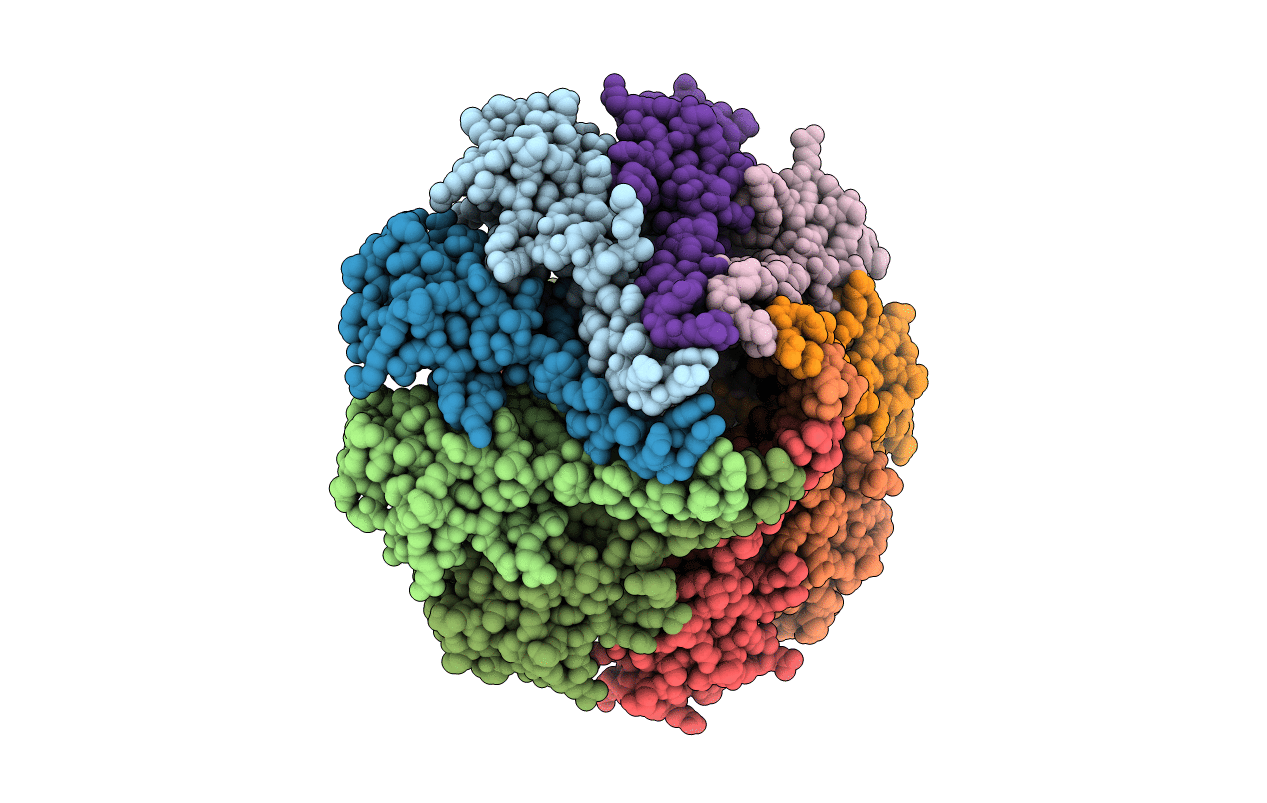 3P9A image