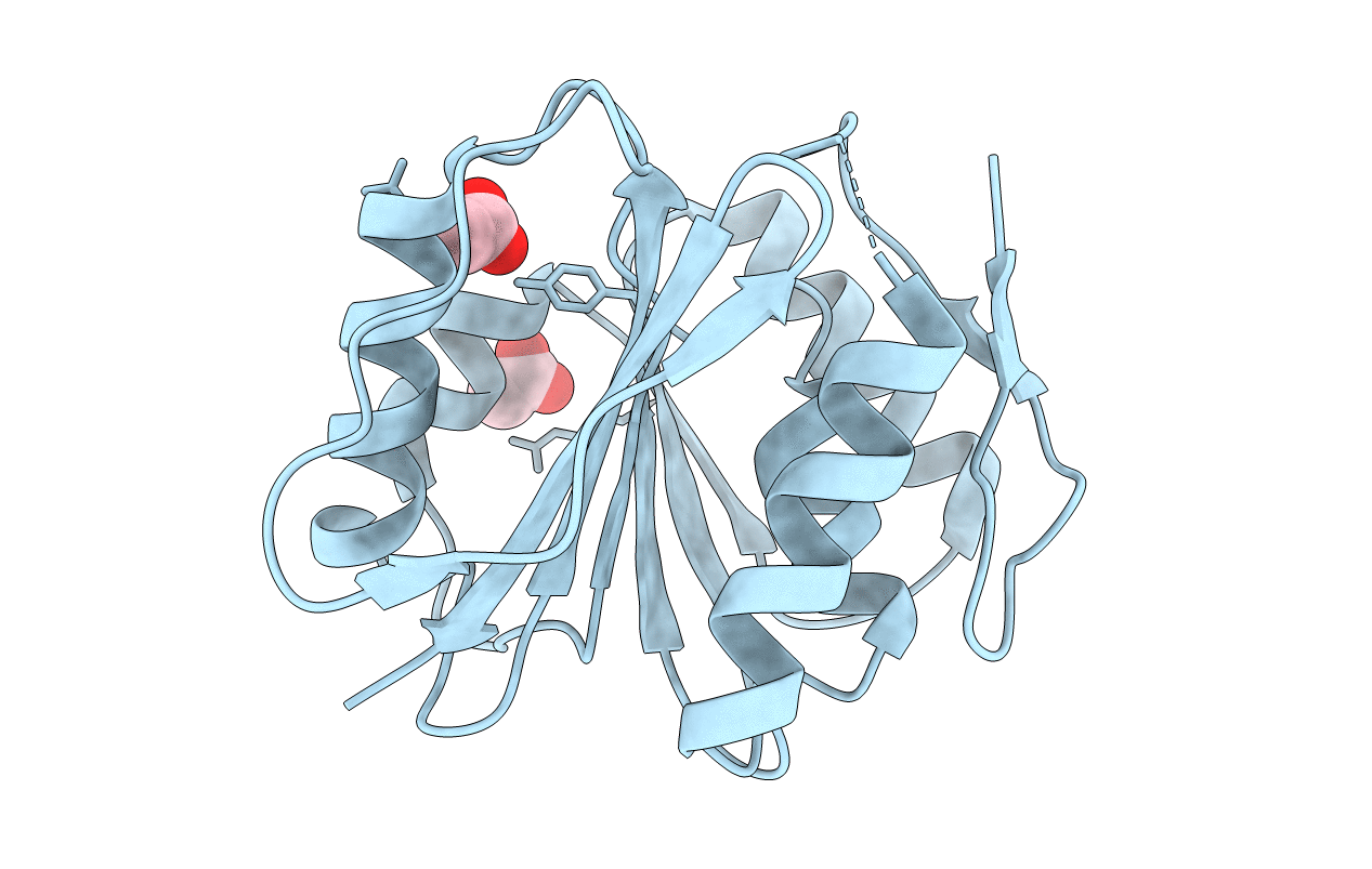 3P9N image