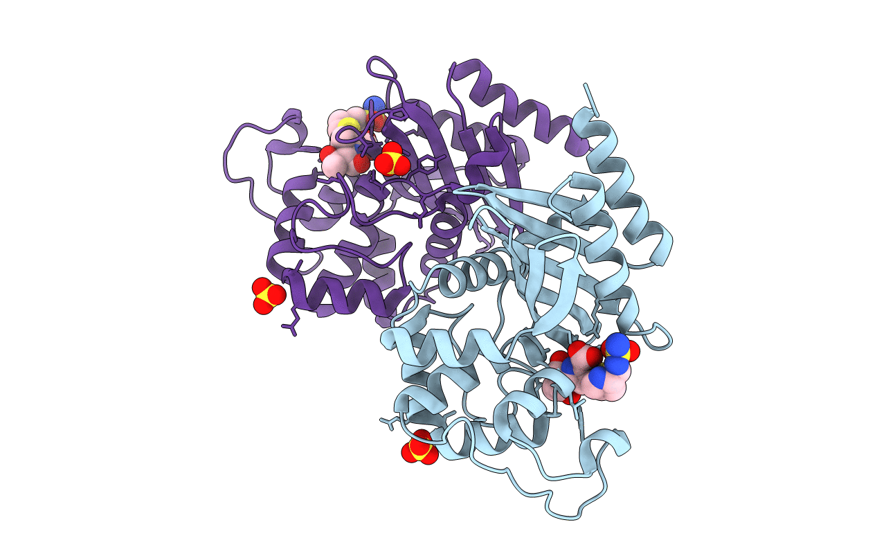 3PAE image