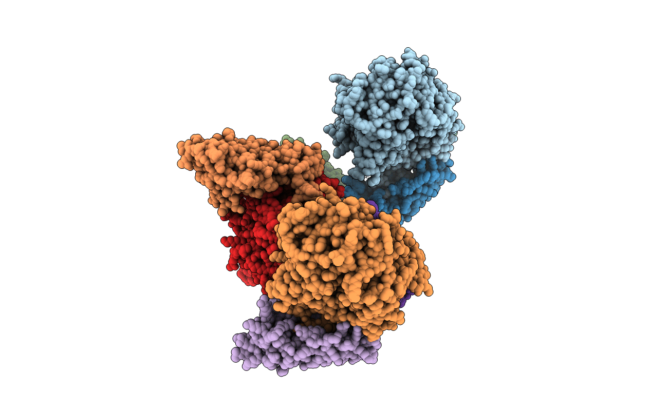 3PBP image