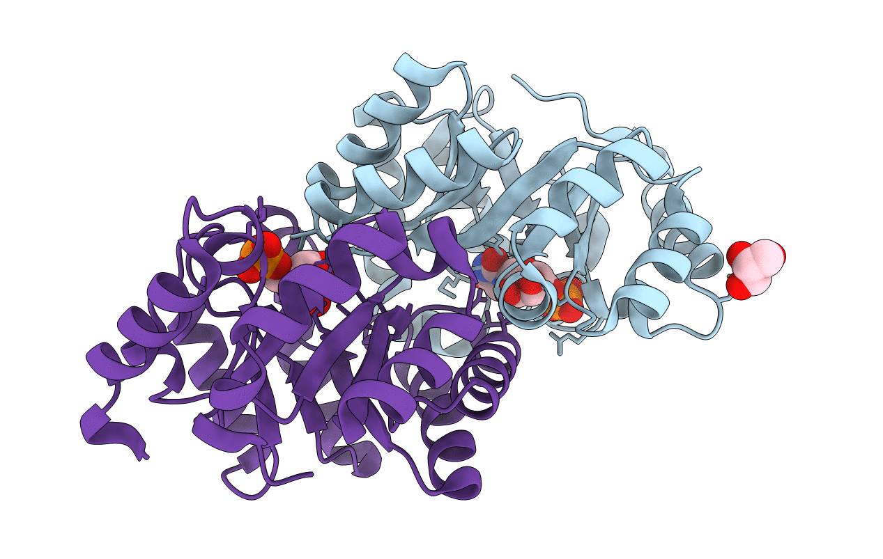 3PBV image