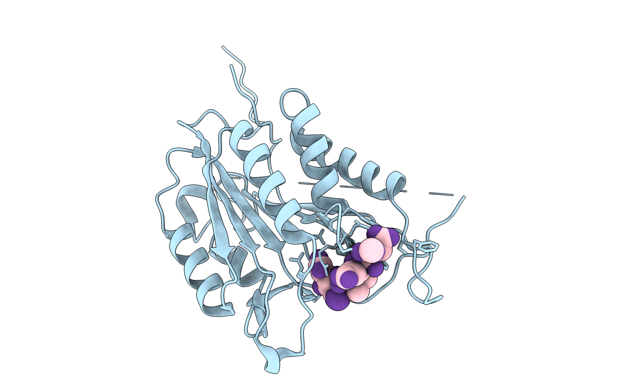 3PD1 image
