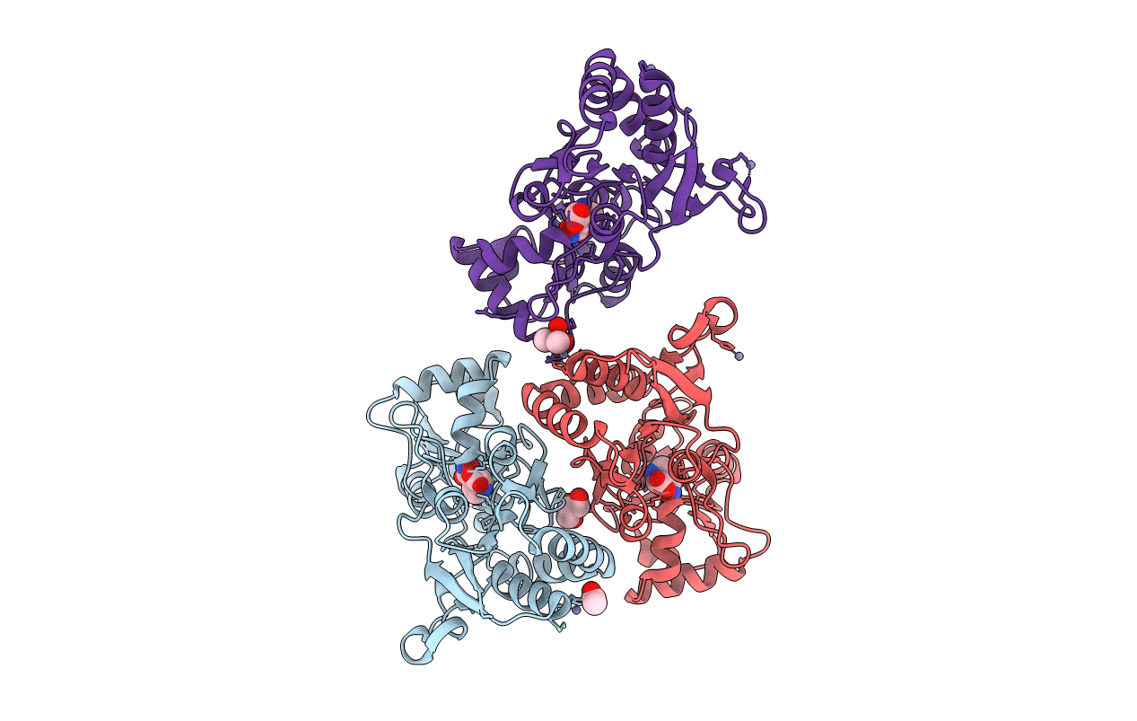 3PD8 image