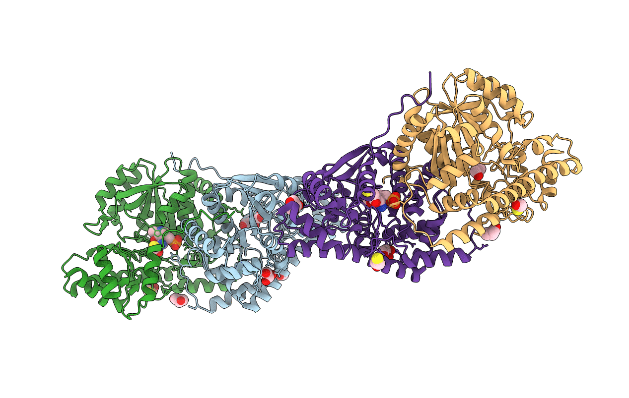 3PDB image
