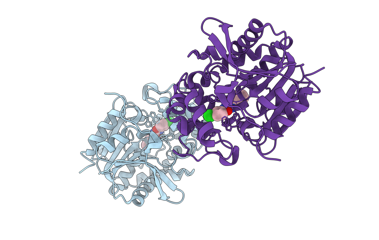 3PDC image