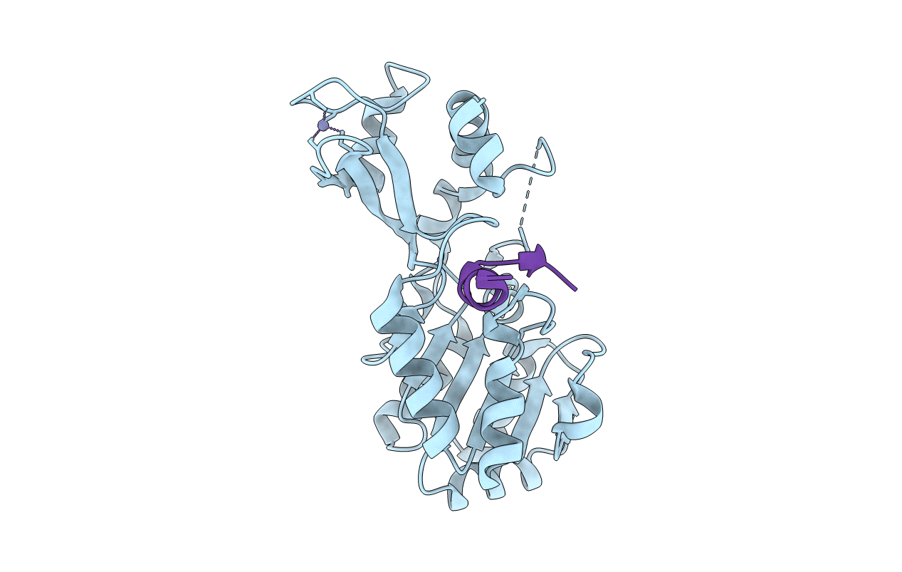 3PDH image