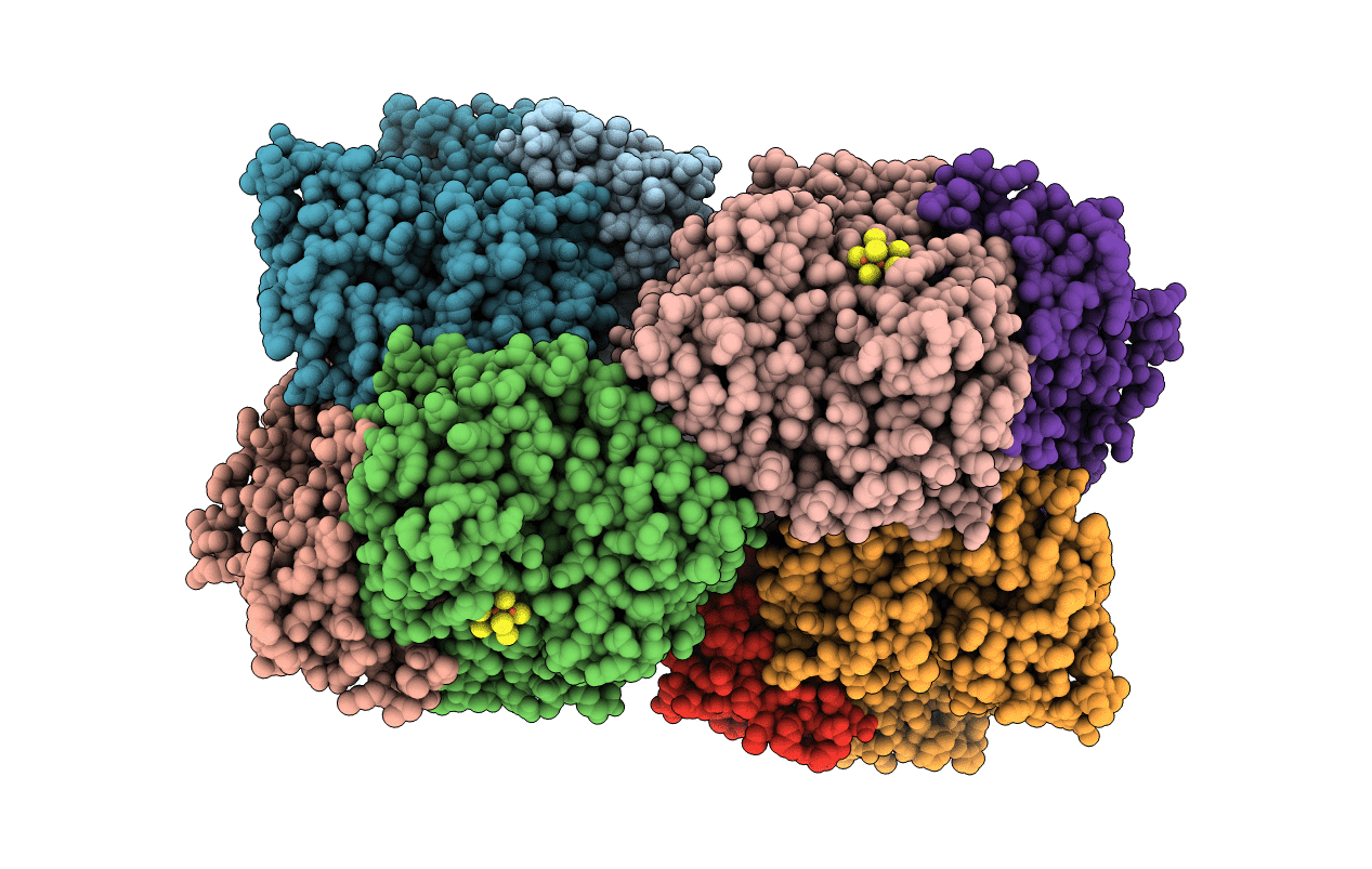 3PDI image