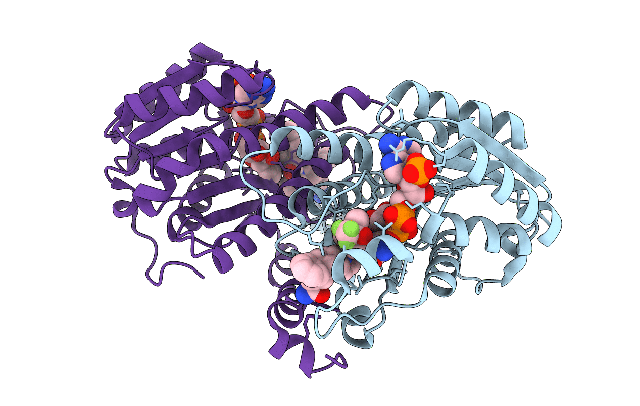 3PDJ image