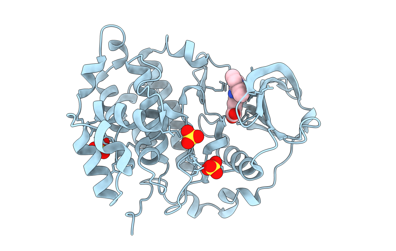 3PE2 image