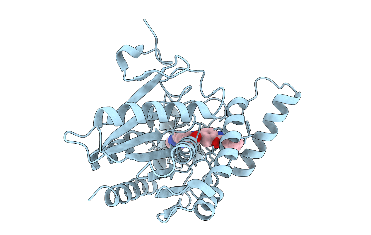 3PE6 image