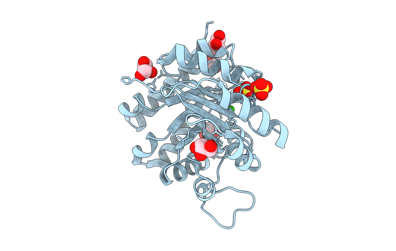 3PF3 image