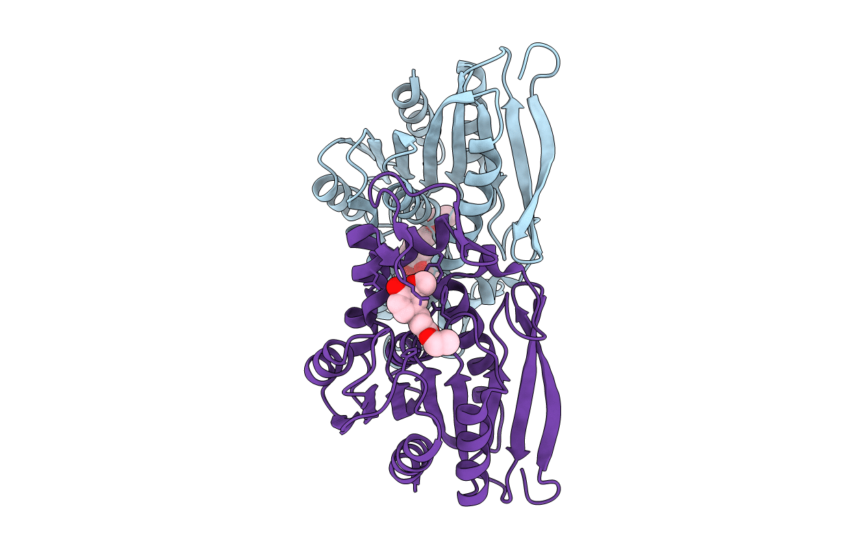 3PFB image