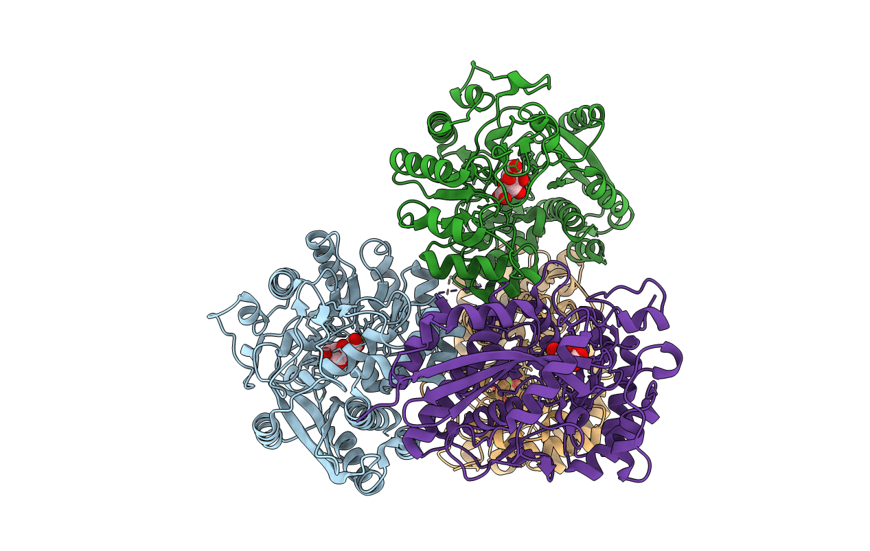 3PFR image