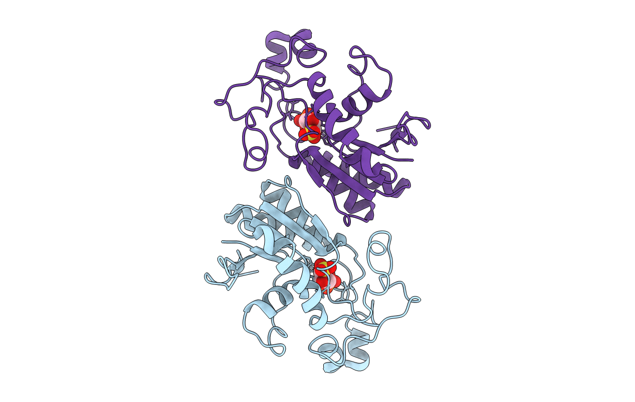 3PGM image