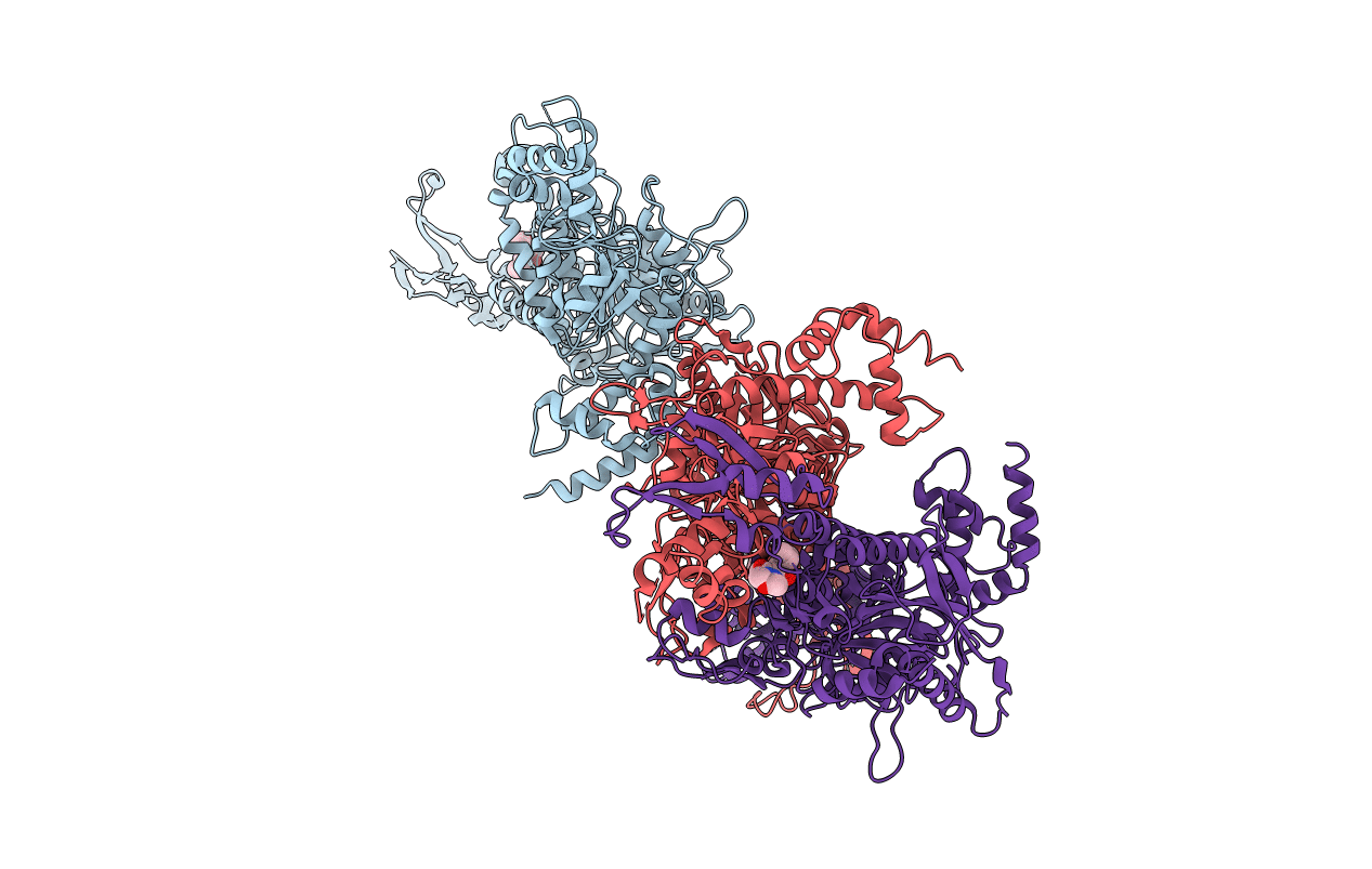 3PGQ image