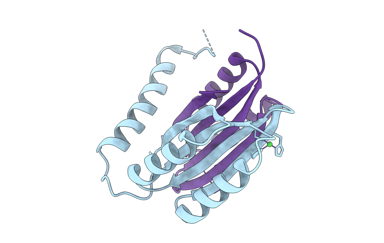 3PHT image