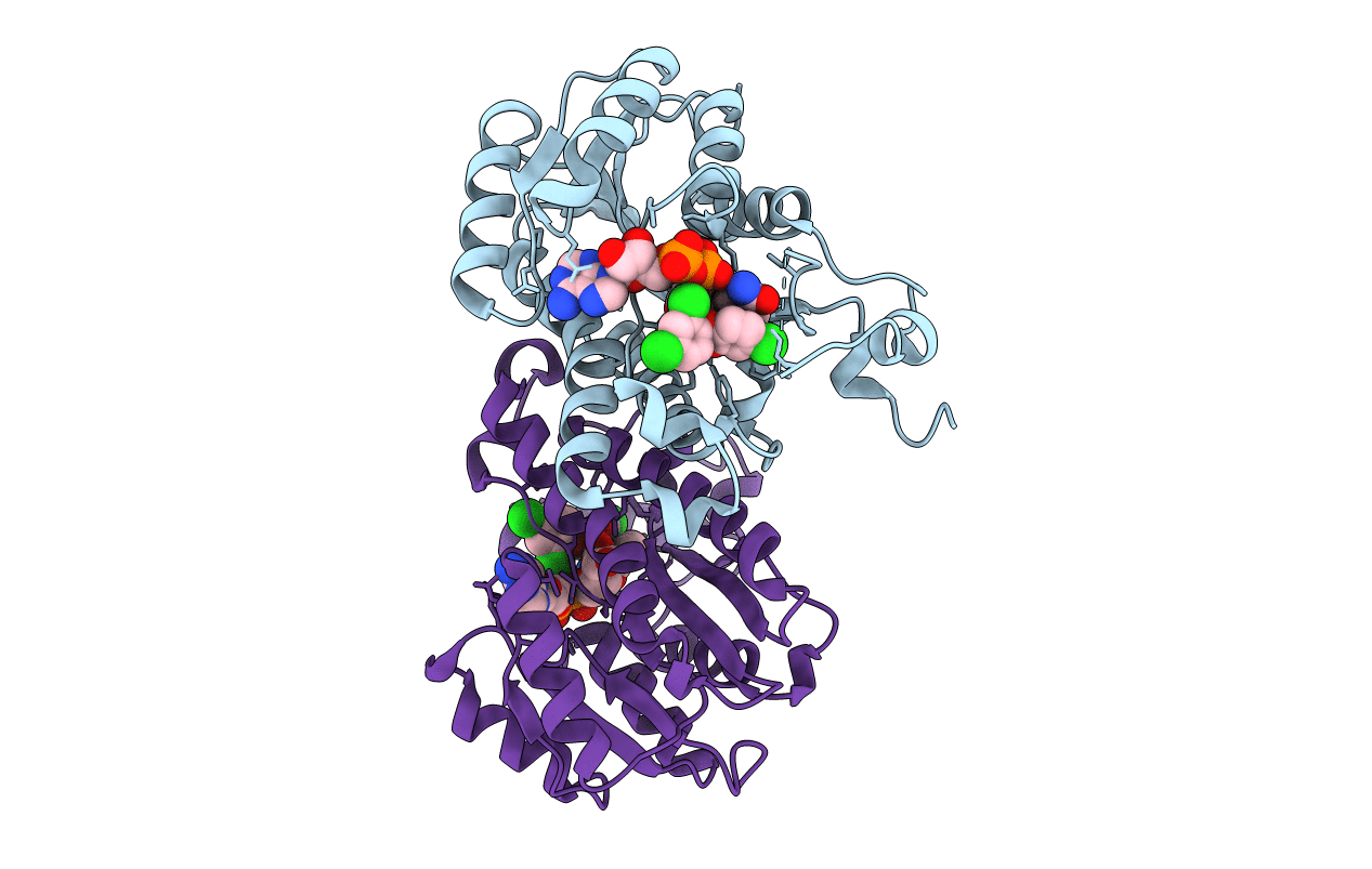 3PJF image