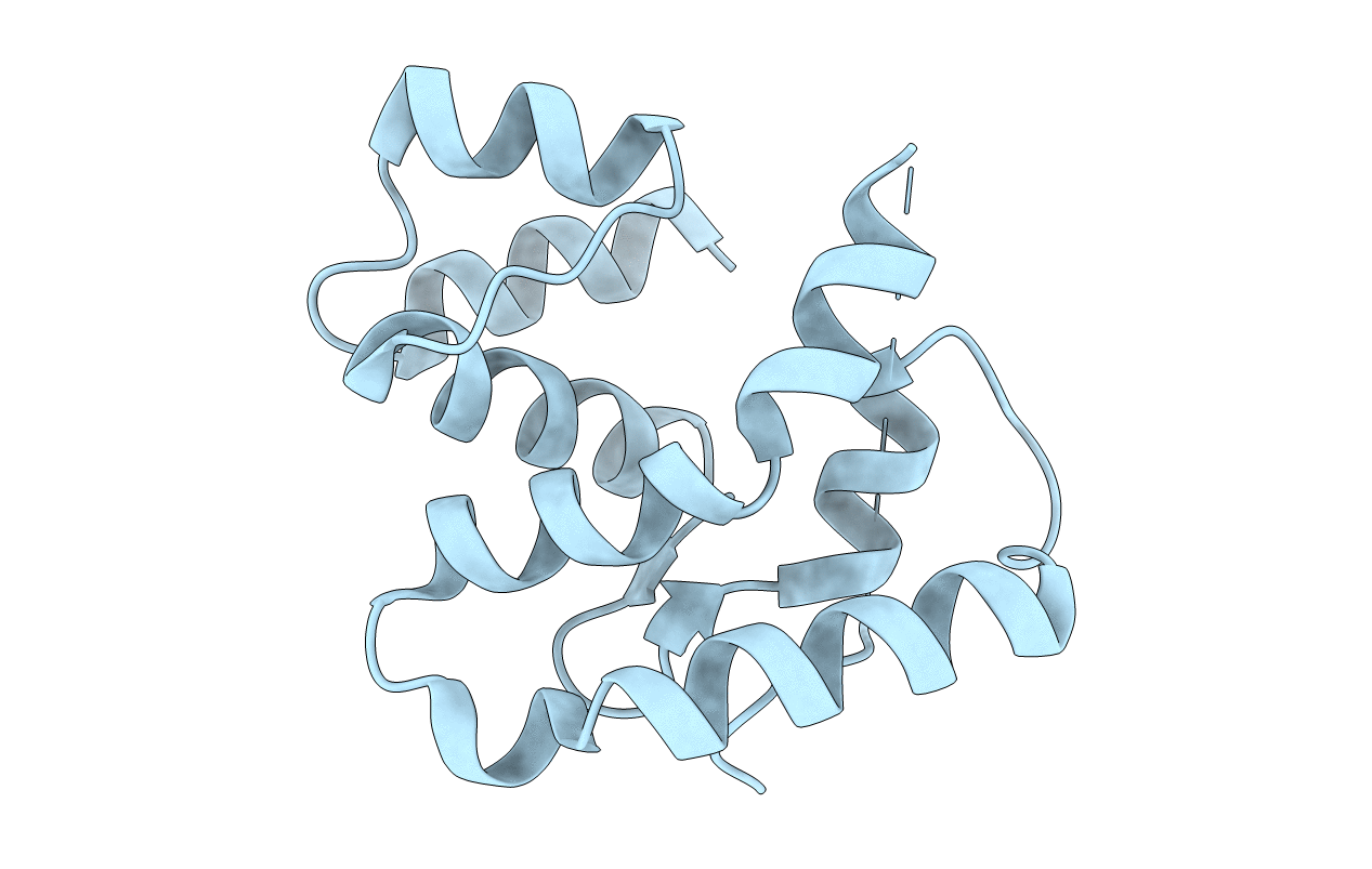 3PJI image