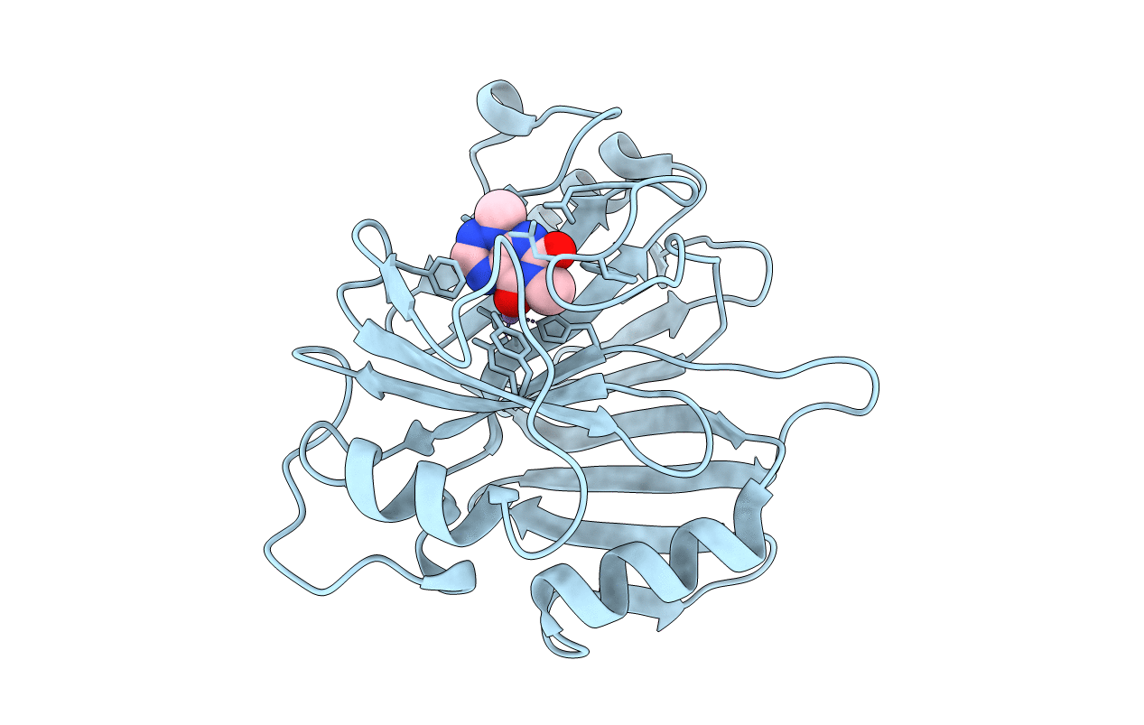 3PKX image