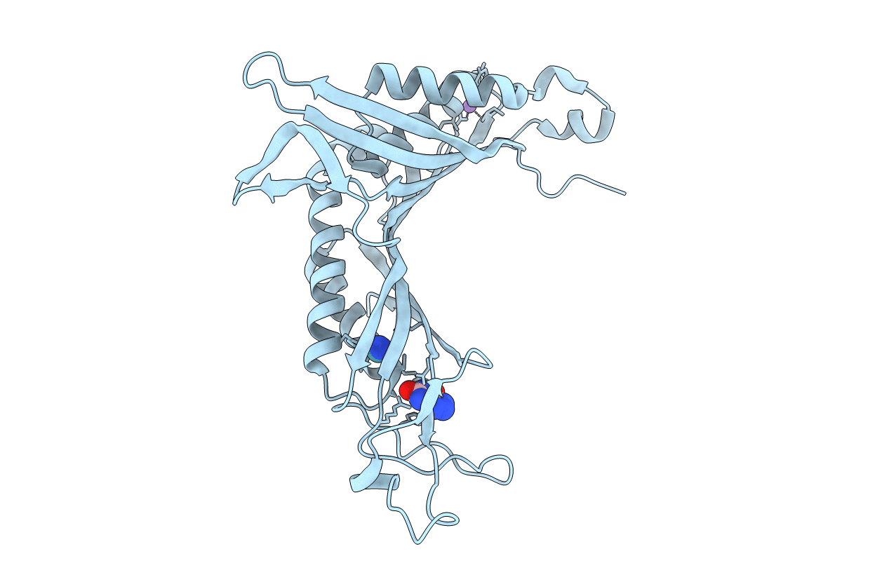 3PLG image
