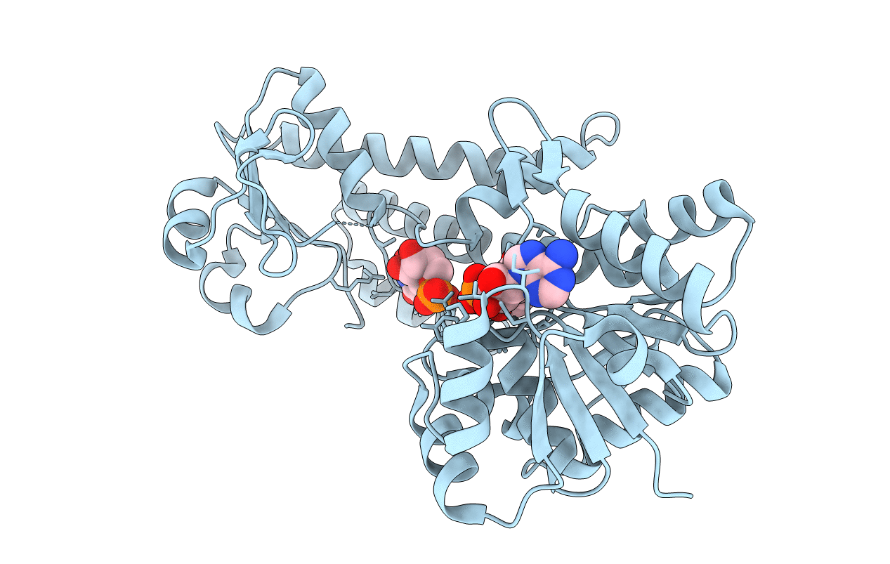 3PLR image
