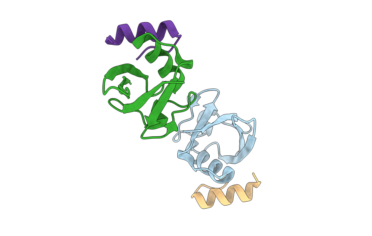3PLU image