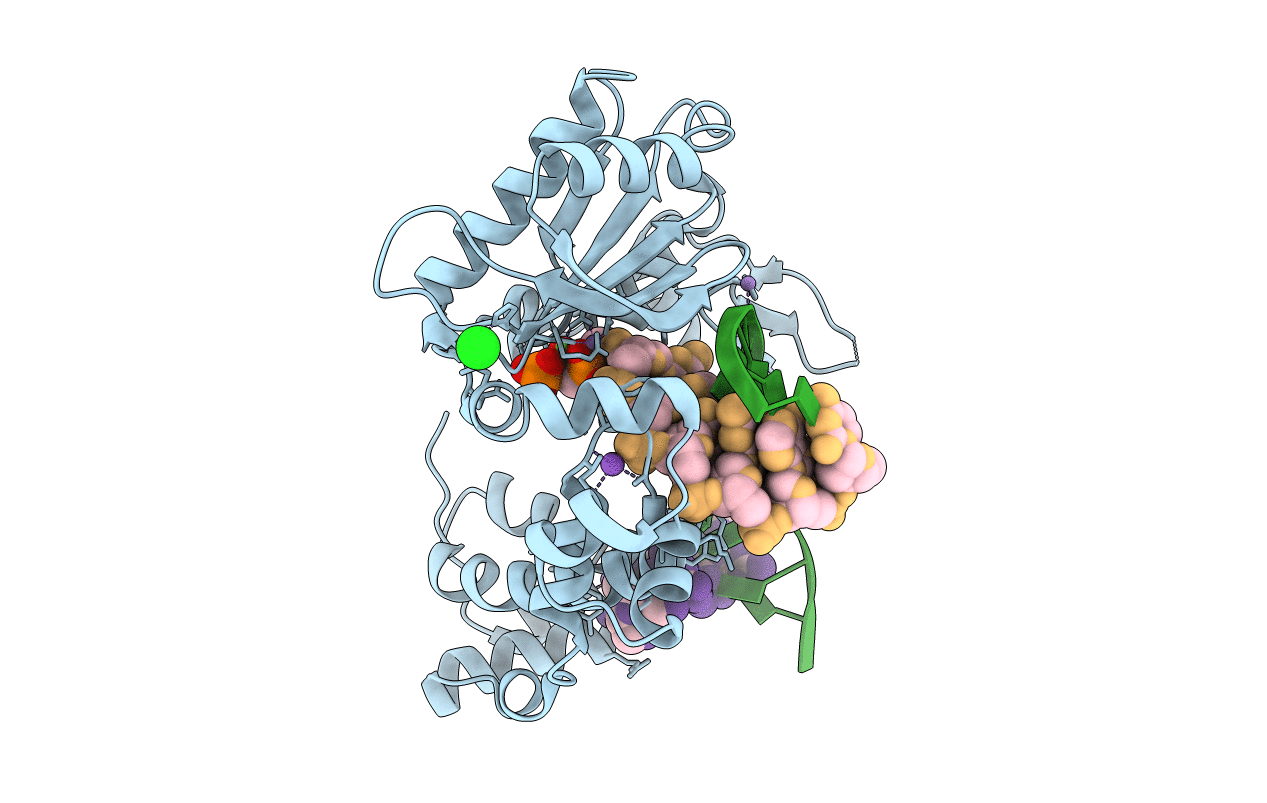 3PMN image