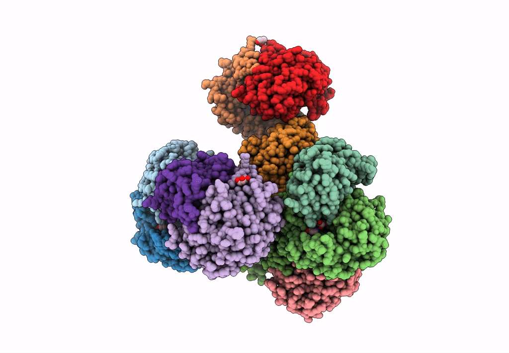 3PNS image