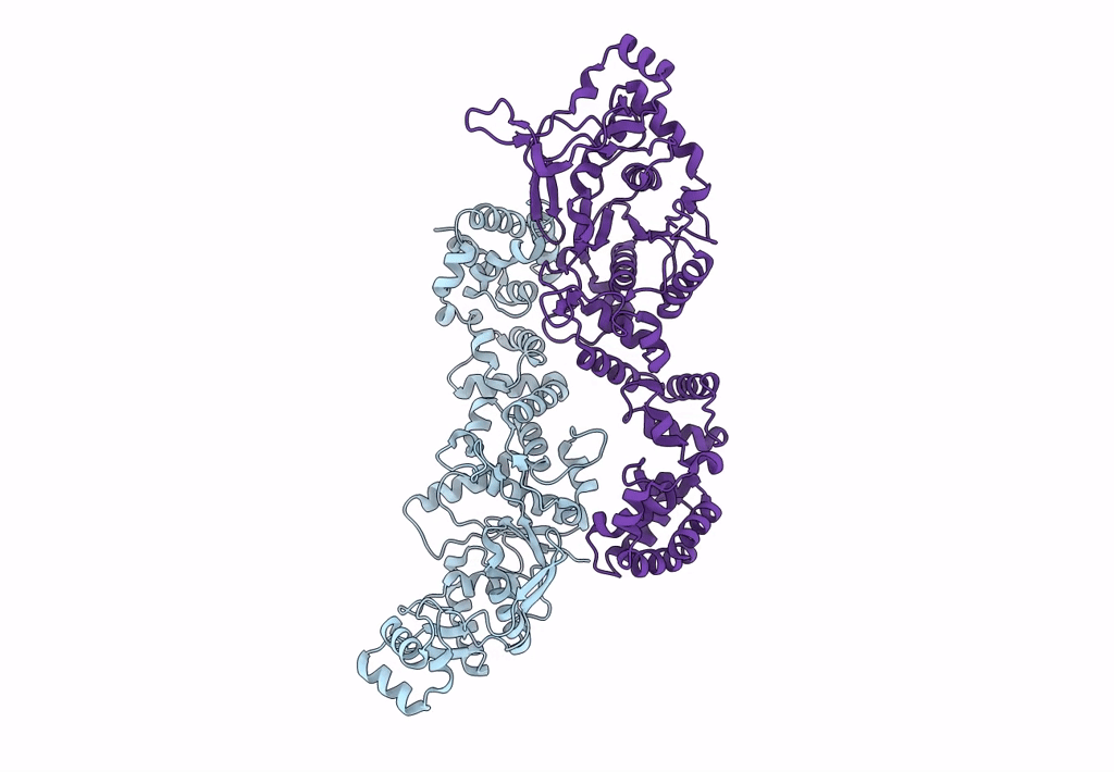 3PNV image