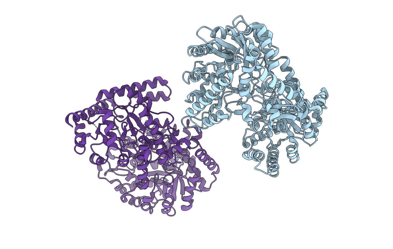 3PPH image