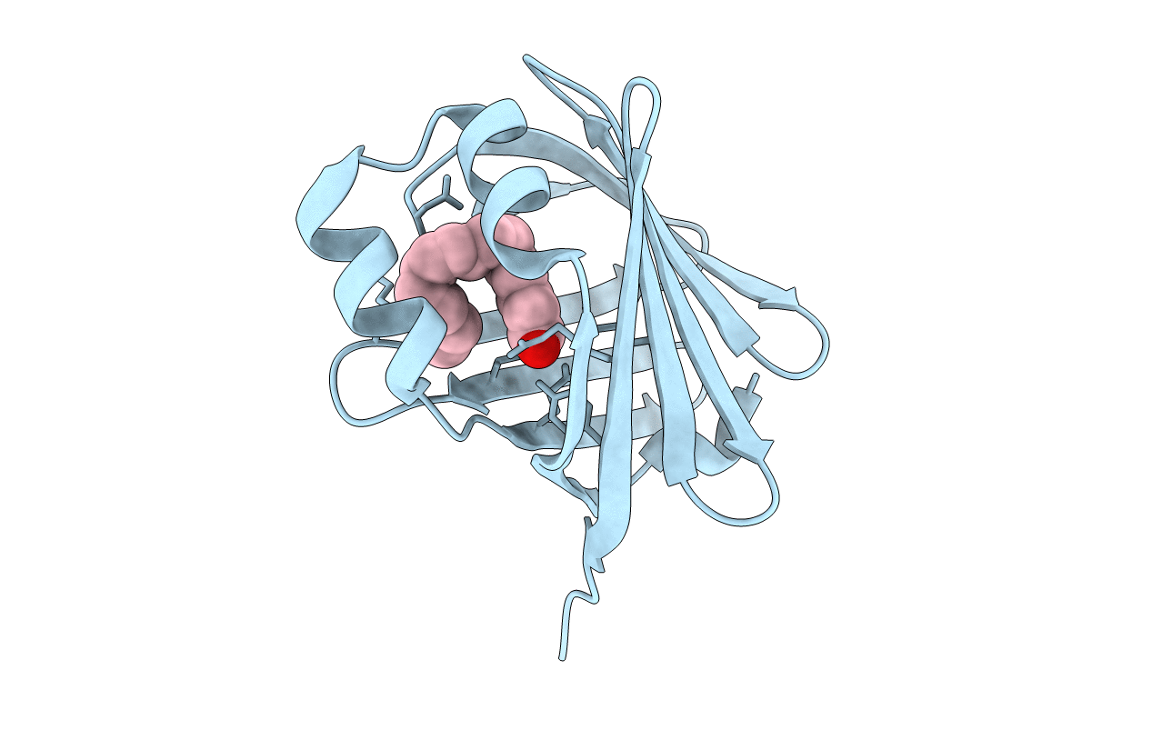3PPT image
