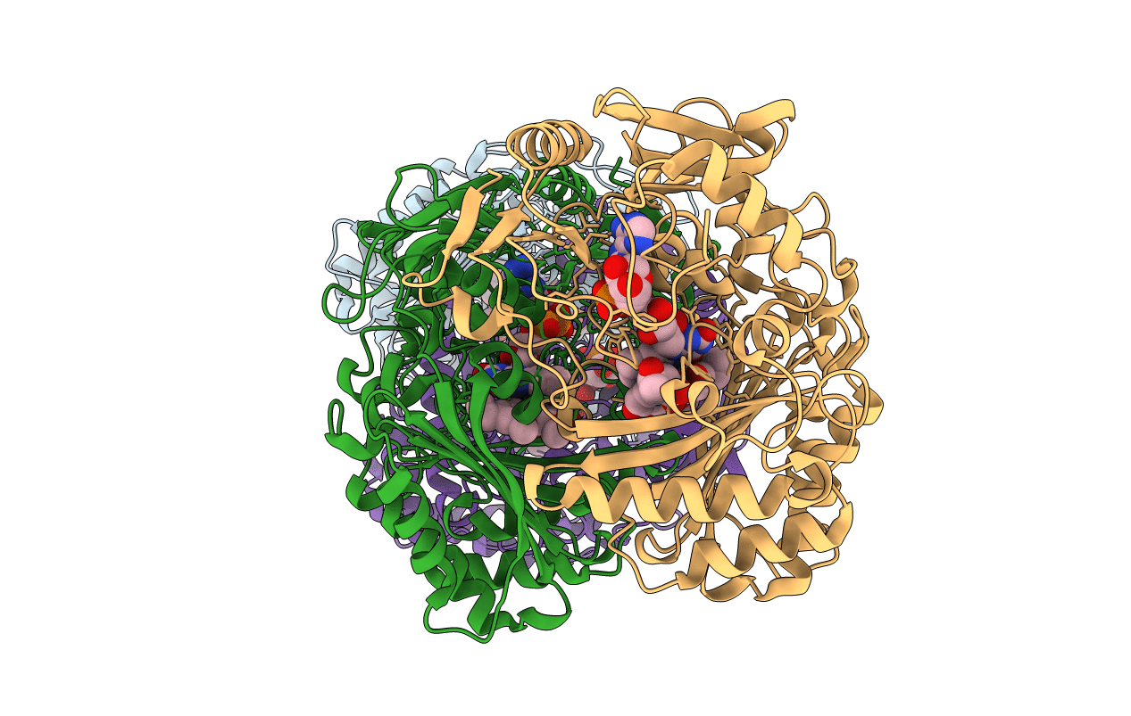 3PQB image