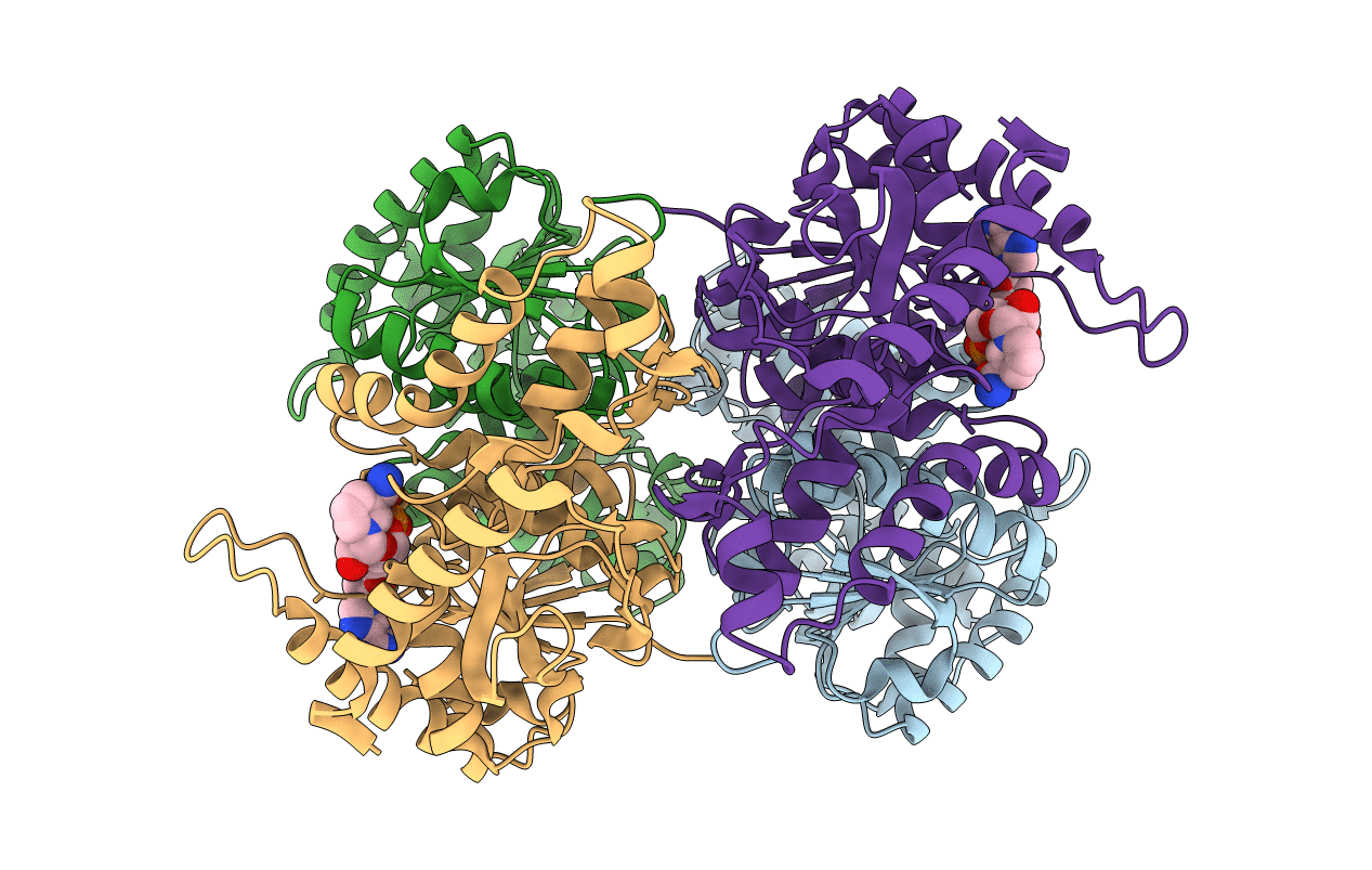 3PQF image