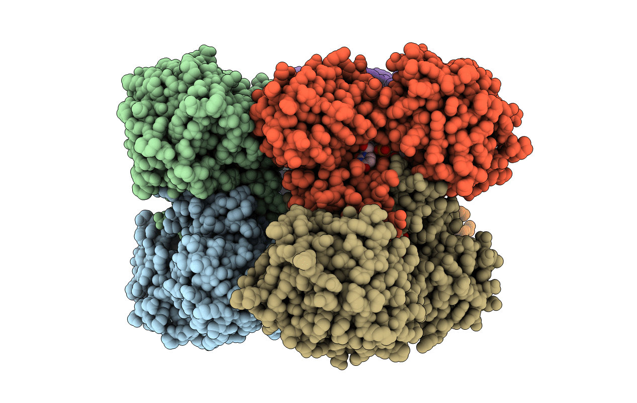 3PRJ image