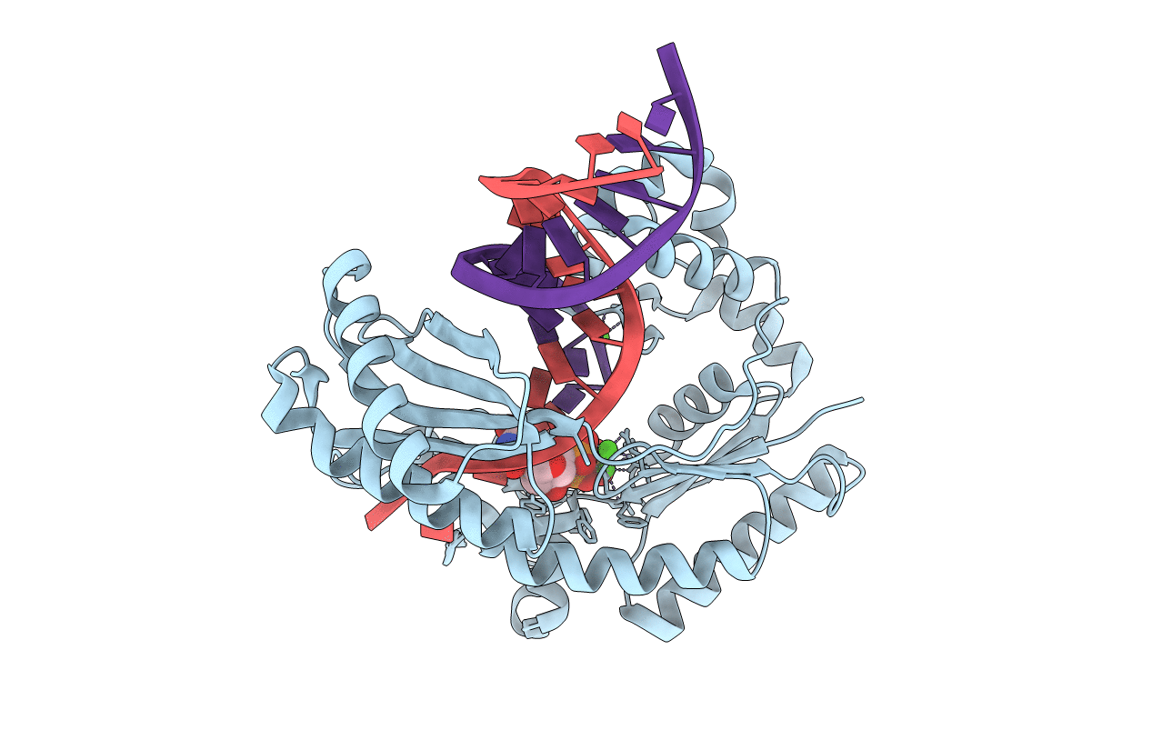 3PW2 image