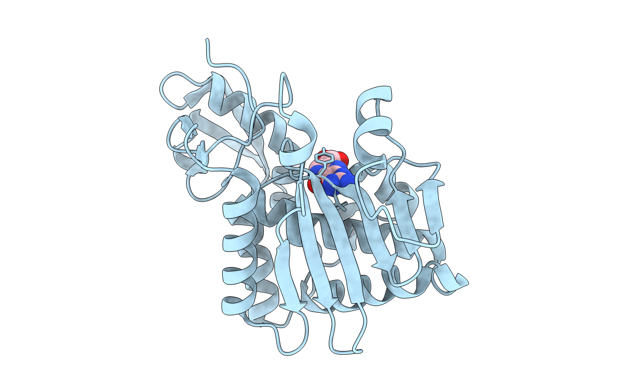 3PX8 image
