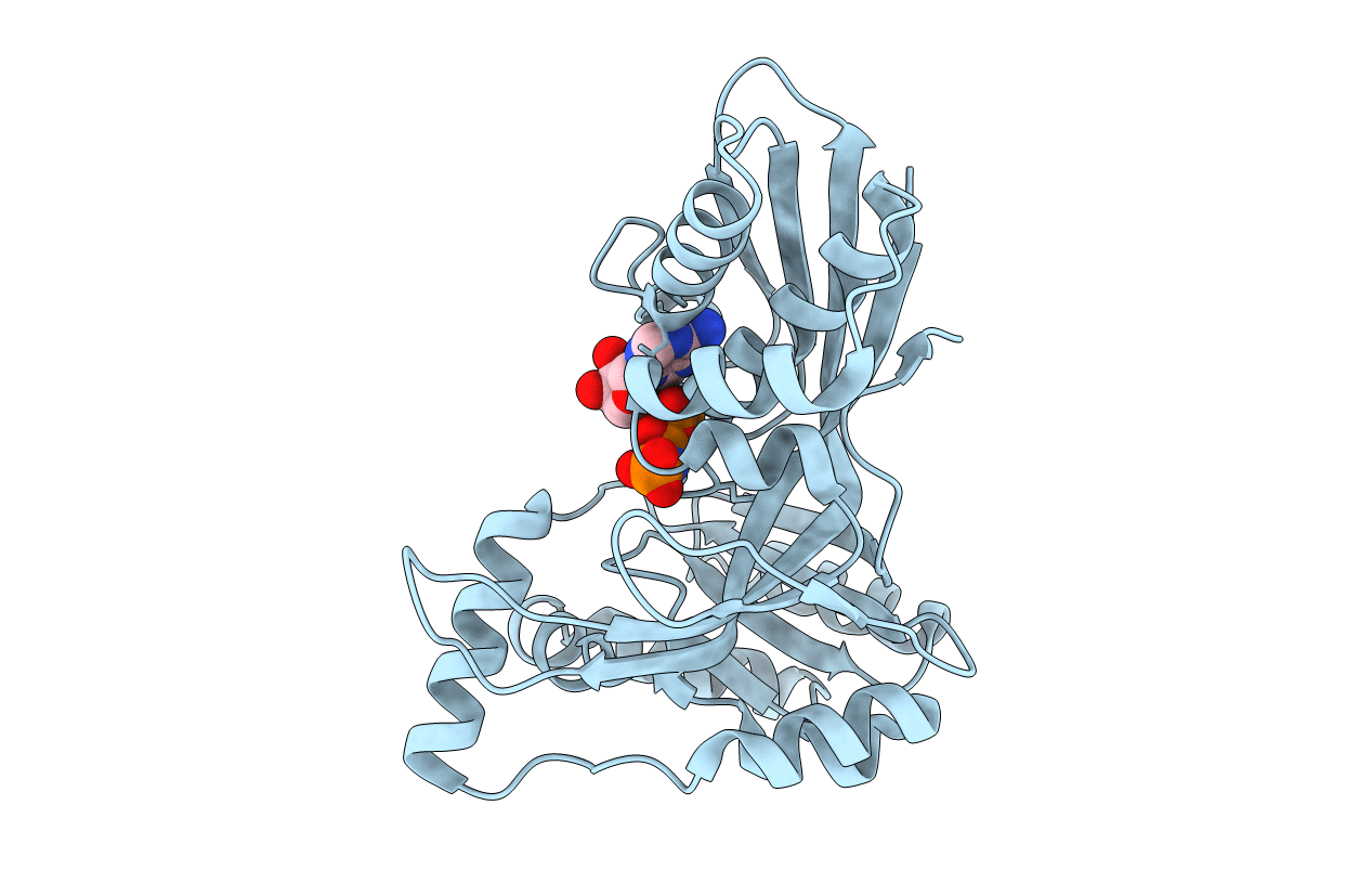 3PYF image
