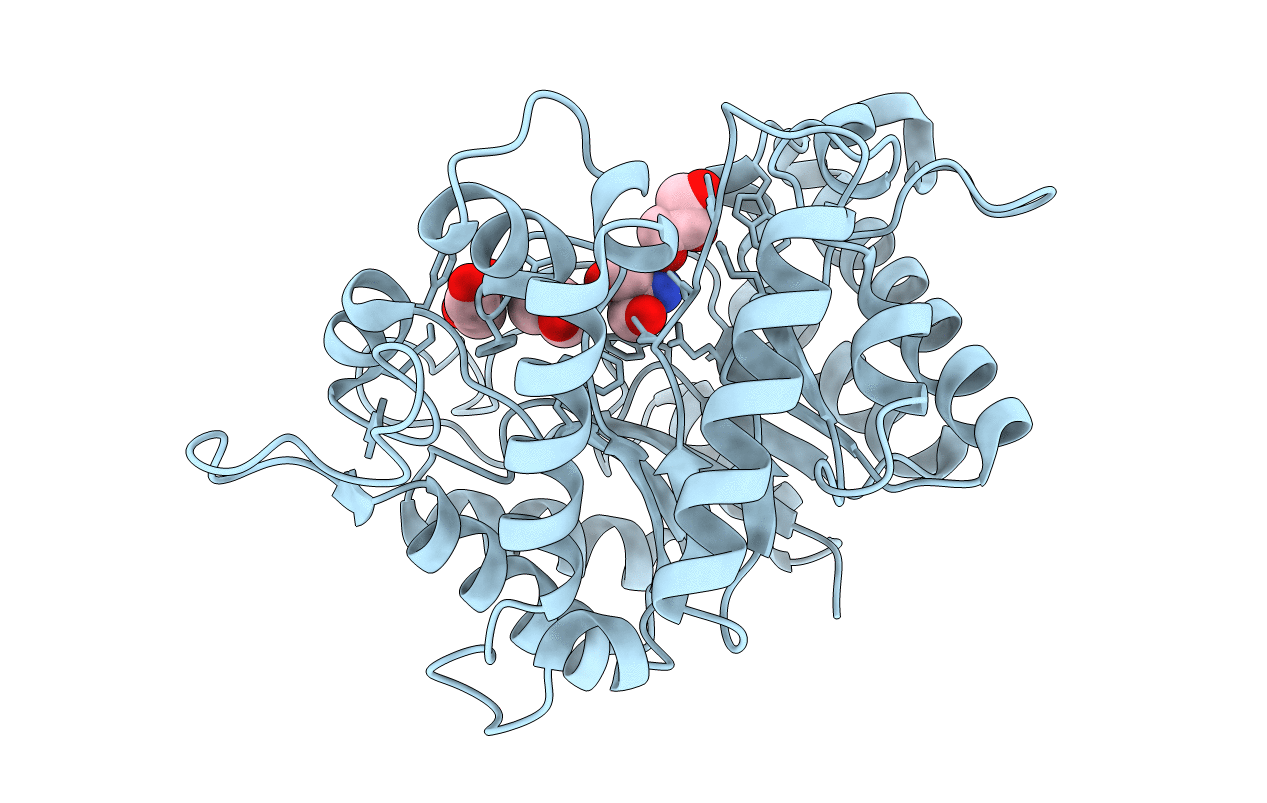3PZM image