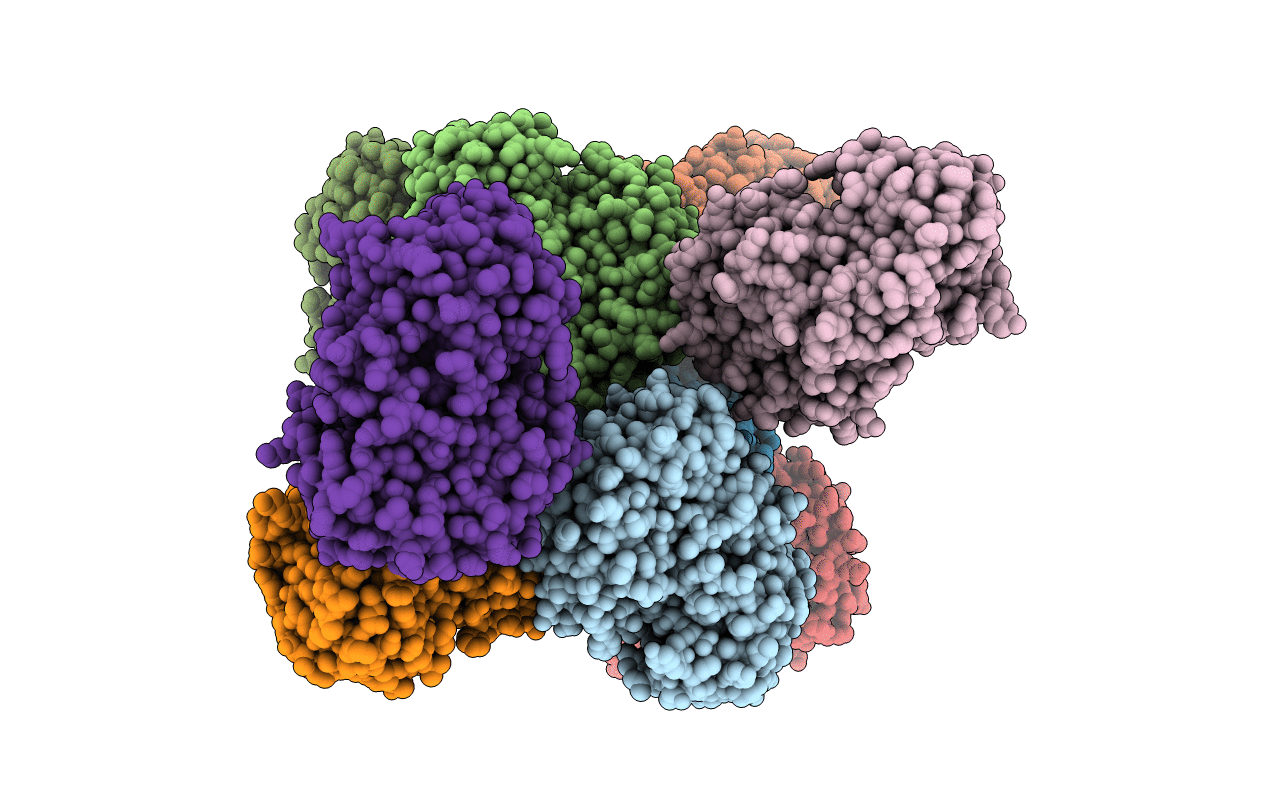 3Q4D image