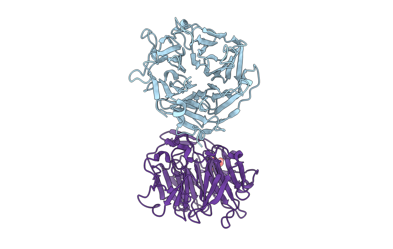 3Q6T image