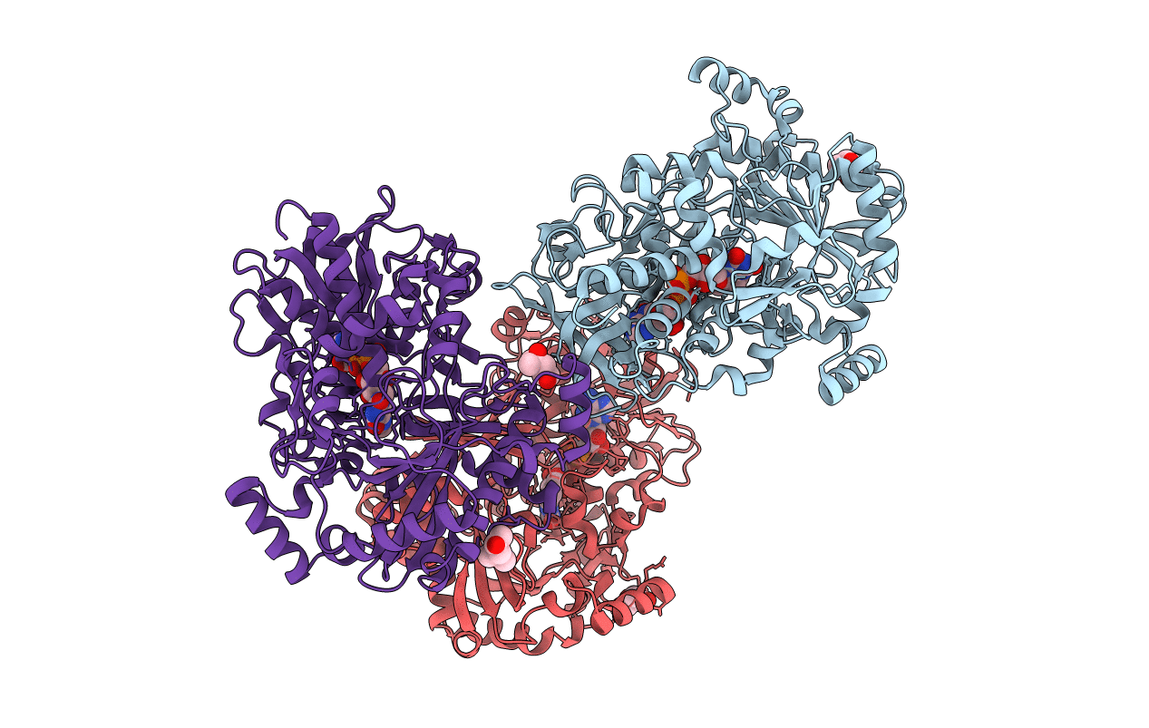 3Q9T image