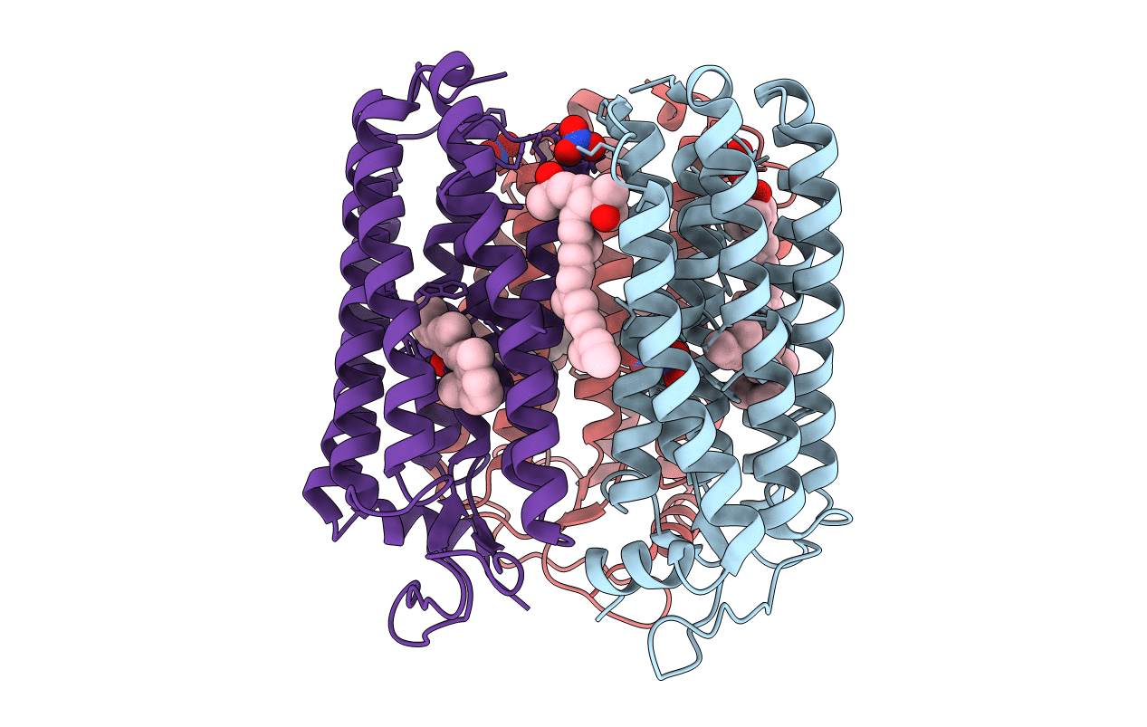 3QBL image