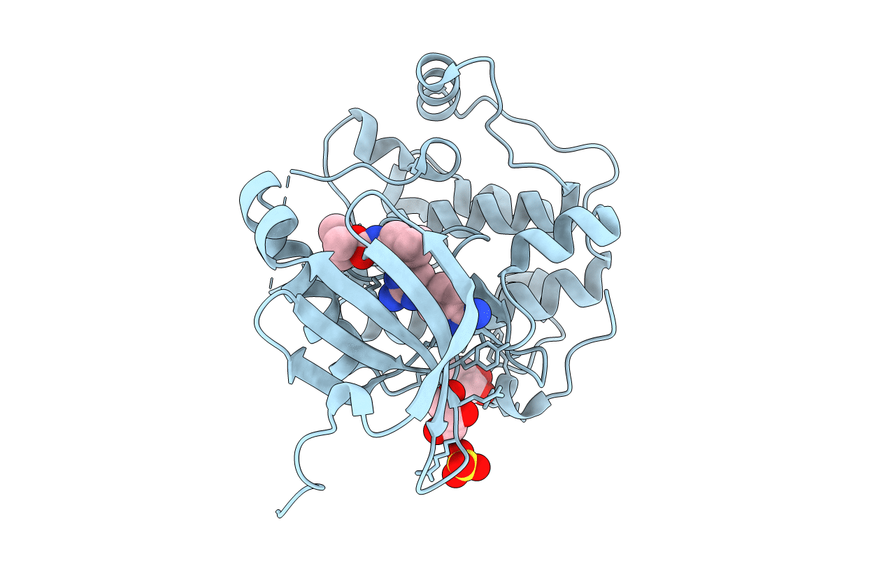 3QD3 image