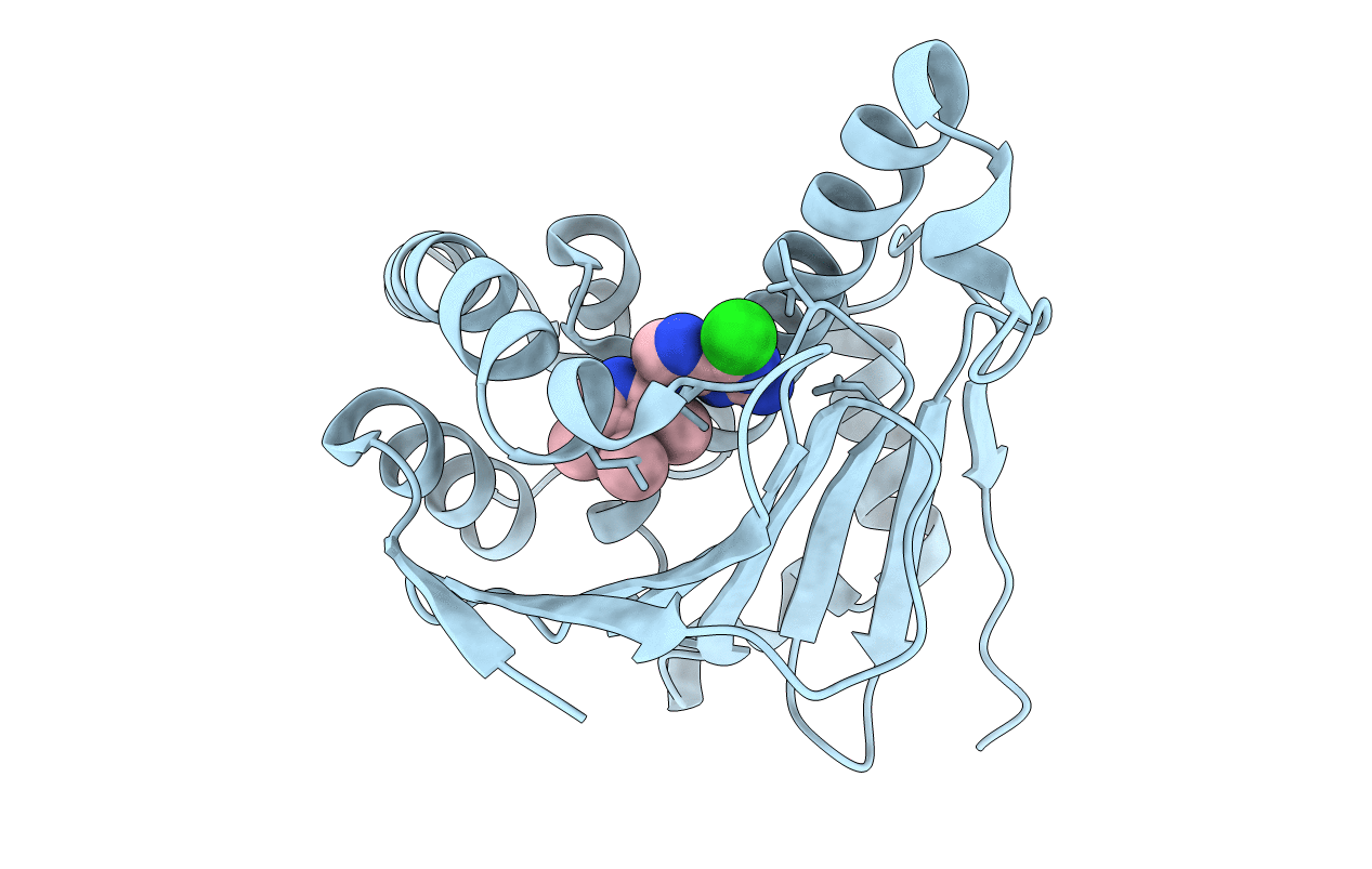 3QDD image