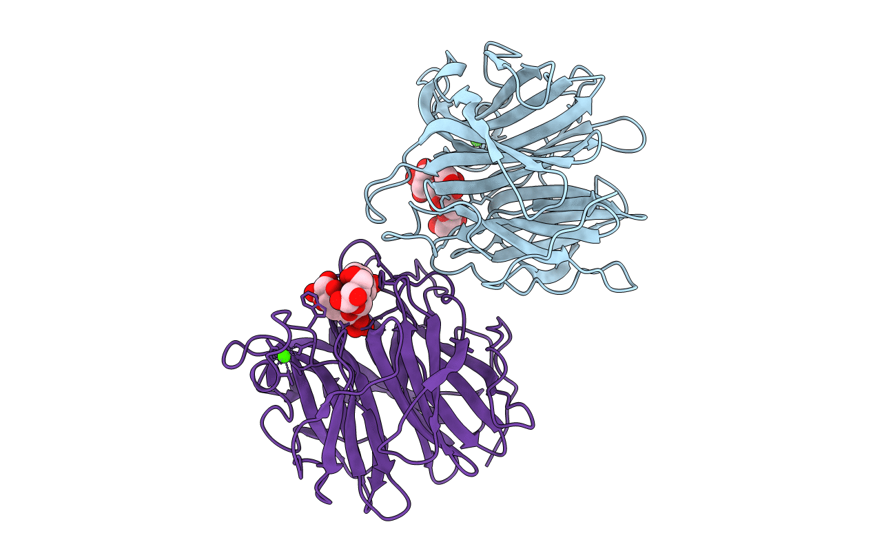 3QEF image