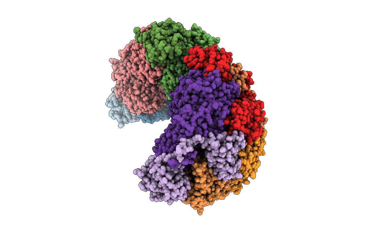 3QGA image
